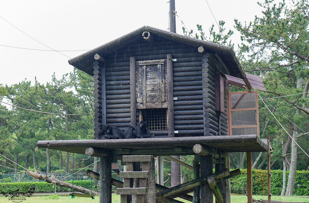 九州福岡粉蝶藍花海「海之中道海濱公園」租單車遊公園，福岡親子人氣景點 @緹雅瑪 美食旅遊趣