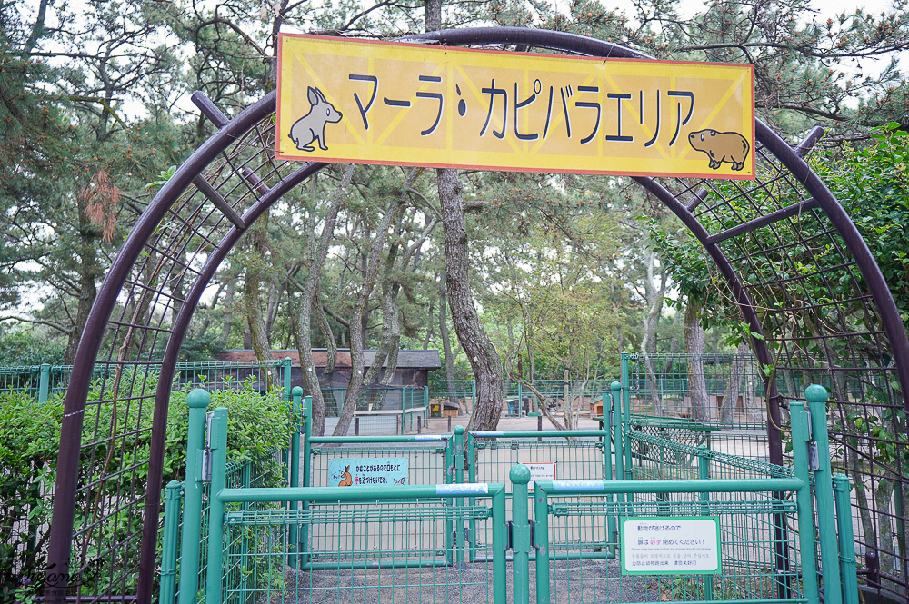 九州福岡粉蝶藍花海「海之中道海濱公園」租單車遊公園，福岡親子人氣景點 @緹雅瑪 美食旅遊趣