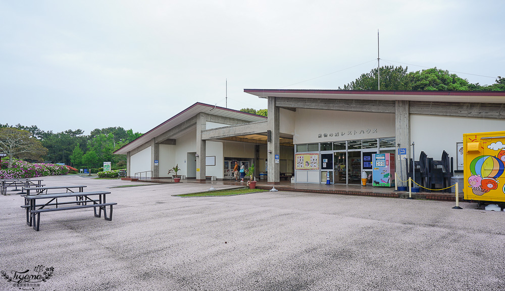 九州福岡粉蝶藍花海「海之中道海濱公園」租單車遊公園，福岡親子人氣景點 @緹雅瑪 美食旅遊趣