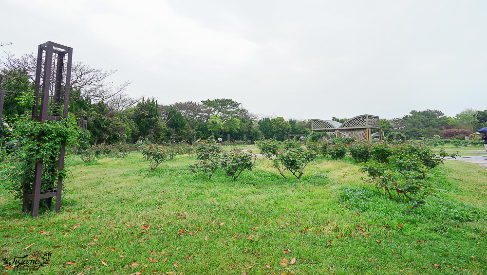 九州福岡粉蝶藍花海「海之中道海濱公園」租單車遊公園，福岡親子人氣景點 @緹雅瑪 美食旅遊趣