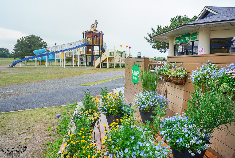 九州福岡粉蝶藍花海「海之中道海濱公園」租單車遊公園，福岡親子人氣景點 @緹雅瑪 美食旅遊趣