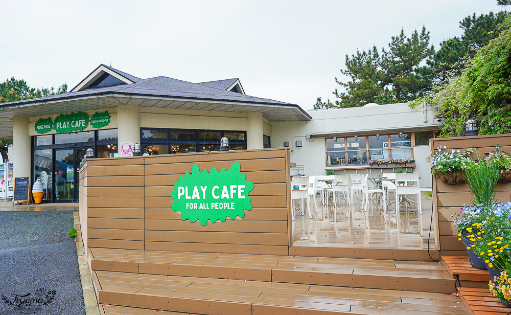 九州福岡粉蝶藍花海「海之中道海濱公園」租單車遊公園，福岡親子人氣景點 @緹雅瑪 美食旅遊趣