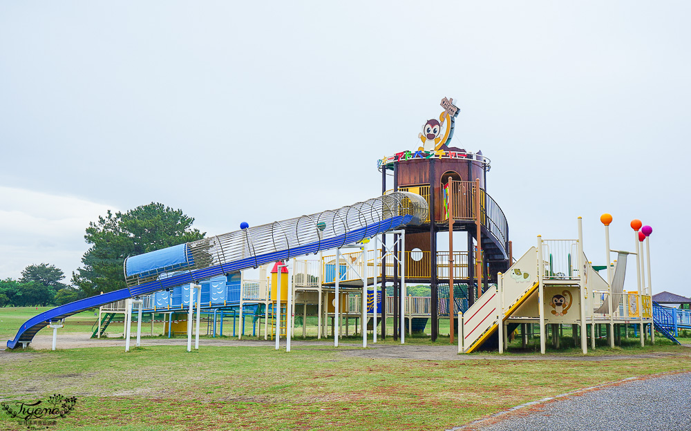 九州福岡粉蝶藍花海「海之中道海濱公園」租單車遊公園，福岡親子人氣景點 @緹雅瑪 美食旅遊趣