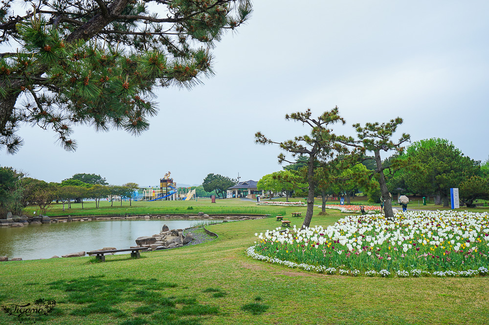 九州福岡粉蝶藍花海「海之中道海濱公園」租單車遊公園，福岡親子人氣景點 @緹雅瑪 美食旅遊趣