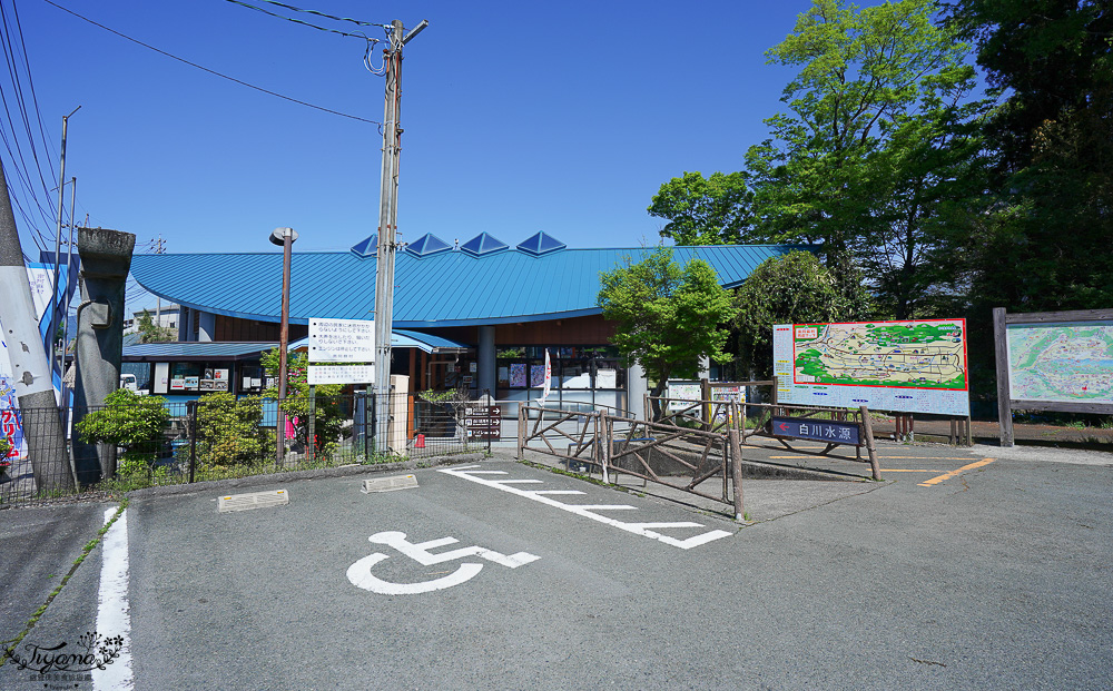 熊本南阿蘇｜白川水源｜白川吉見神社：日本名水百選，世界最清澈的天然水之一 @緹雅瑪 美食旅遊趣