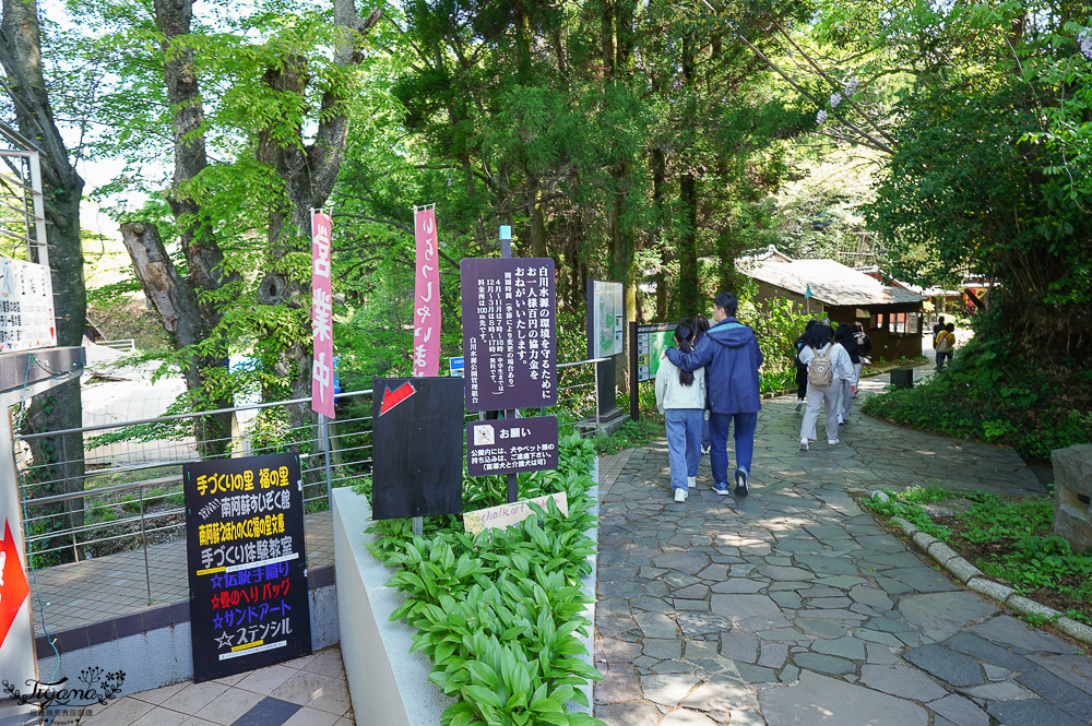 熊本南阿蘇｜白川水源｜白川吉見神社：日本名水百選，世界最清澈的天然水之一 @緹雅瑪 美食旅遊趣