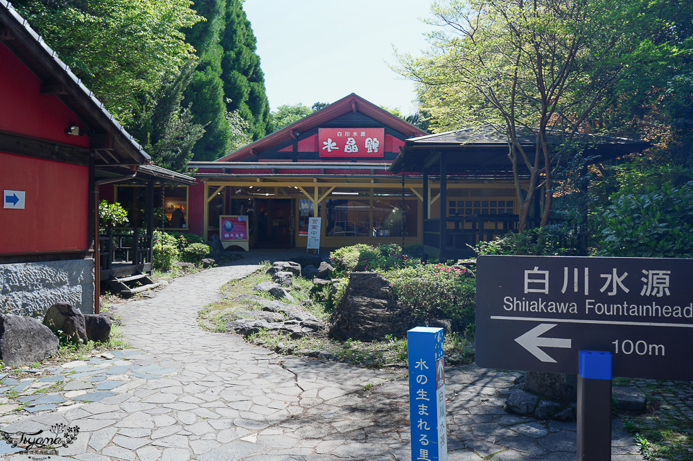 熊本南阿蘇｜白川水源｜白川吉見神社：日本名水百選，世界最清澈的天然水之一 @緹雅瑪 美食旅遊趣