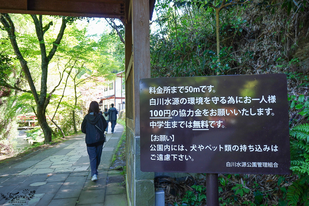 熊本南阿蘇｜白川水源｜白川吉見神社：日本名水百選，世界最清澈的天然水之一 @緹雅瑪 美食旅遊趣