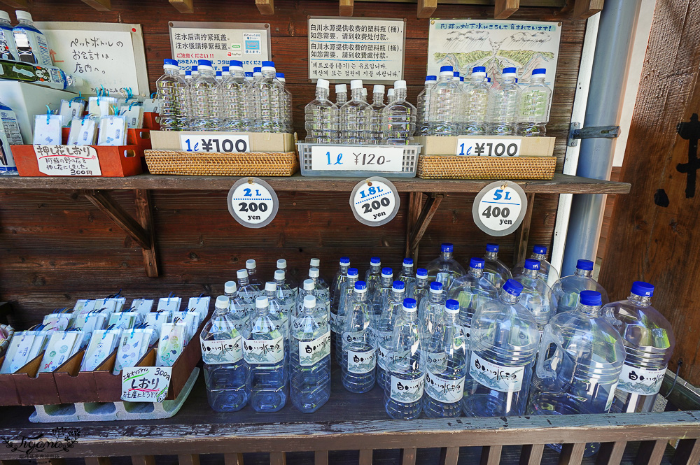 熊本南阿蘇｜白川水源｜白川吉見神社：日本名水百選，世界最清澈的天然水之一 @緹雅瑪 美食旅遊趣