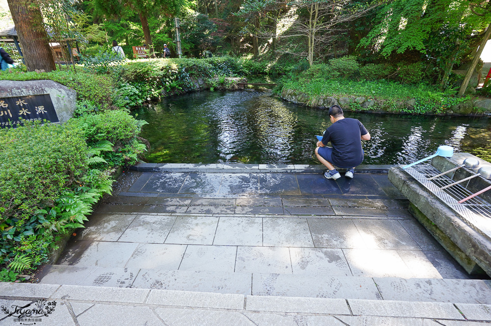 熊本南阿蘇｜白川水源｜白川吉見神社：日本名水百選，世界最清澈的天然水之一 @緹雅瑪 美食旅遊趣