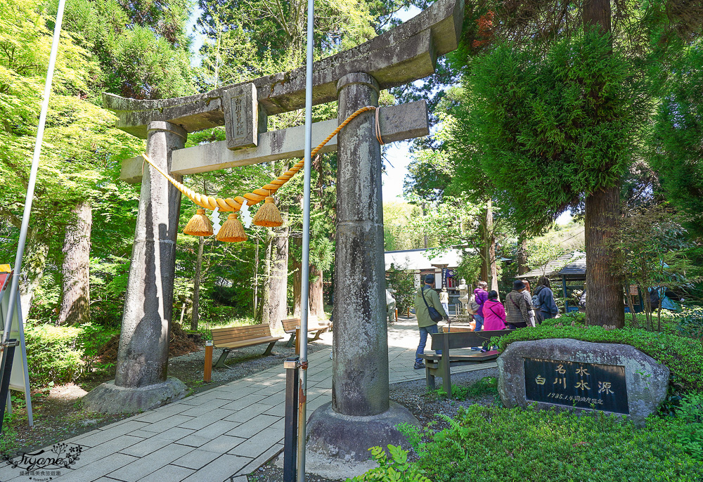 熊本南阿蘇｜白川水源｜白川吉見神社：日本名水百選，世界最清澈的天然水之一 @緹雅瑪 美食旅遊趣