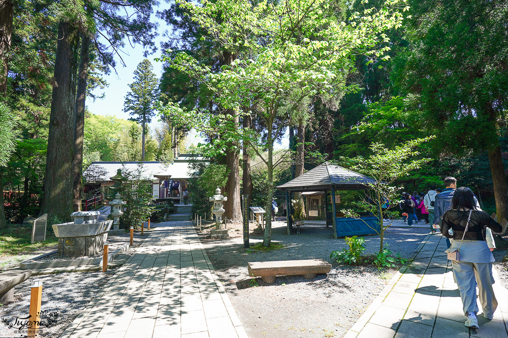 熊本南阿蘇｜白川水源｜白川吉見神社：日本名水百選，世界最清澈的天然水之一 @緹雅瑪 美食旅遊趣