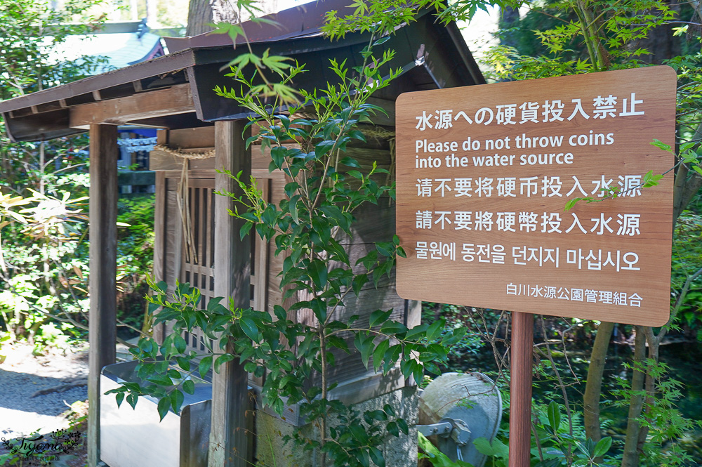 熊本南阿蘇｜白川水源｜白川吉見神社：日本名水百選，世界最清澈的天然水之一 @緹雅瑪 美食旅遊趣