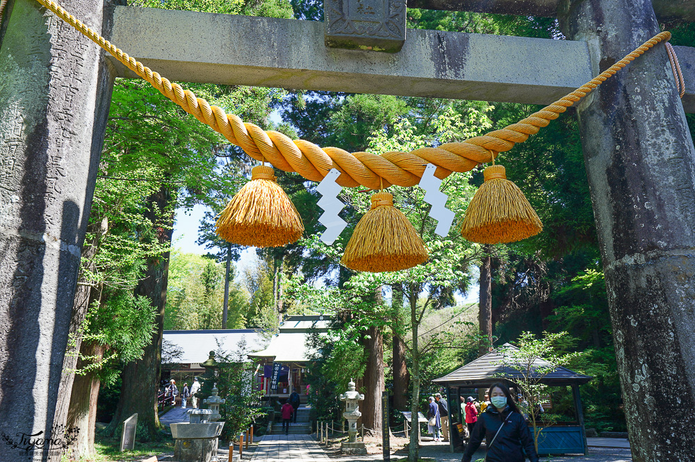 熊本南阿蘇｜白川水源｜白川吉見神社：日本名水百選，世界最清澈的天然水之一 @緹雅瑪 美食旅遊趣
