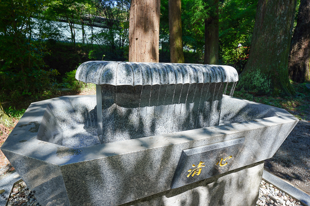 熊本南阿蘇｜白川水源｜白川吉見神社：日本名水百選，世界最清澈的天然水之一 @緹雅瑪 美食旅遊趣