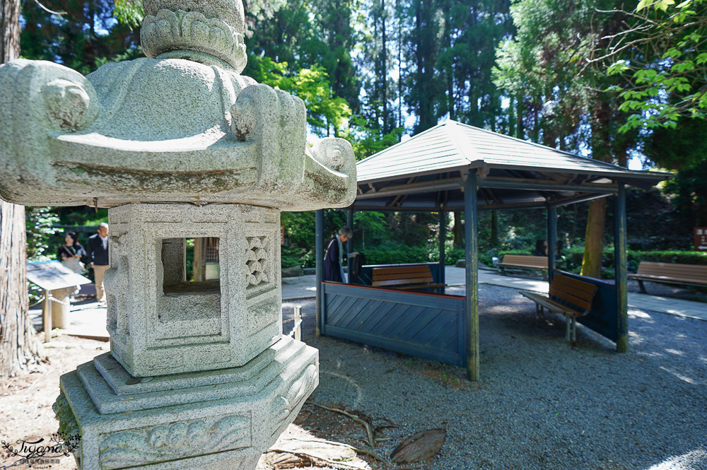 熊本南阿蘇｜白川水源｜白川吉見神社：日本名水百選，世界最清澈的天然水之一 @緹雅瑪 美食旅遊趣