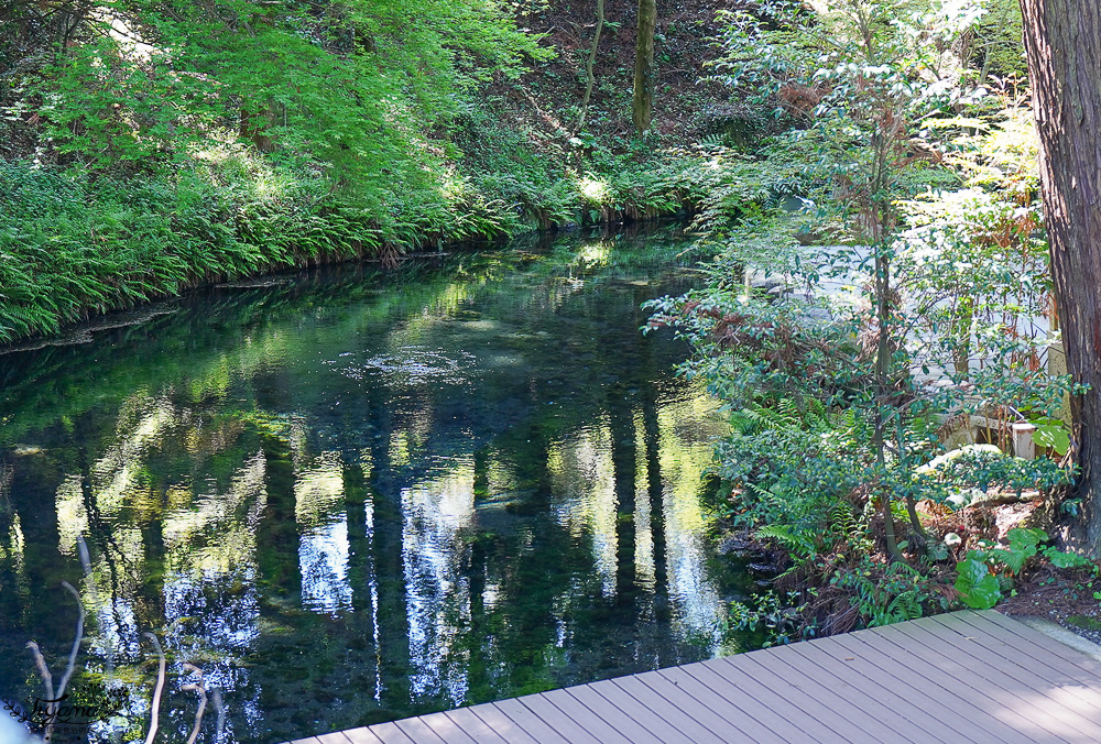熊本南阿蘇｜白川水源｜白川吉見神社：日本名水百選，世界最清澈的天然水之一 @緹雅瑪 美食旅遊趣