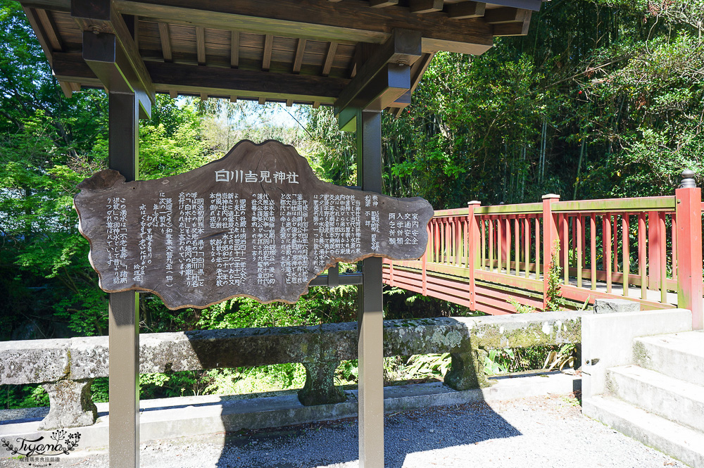 熊本南阿蘇｜白川水源｜白川吉見神社：日本名水百選，世界最清澈的天然水之一 @緹雅瑪 美食旅遊趣