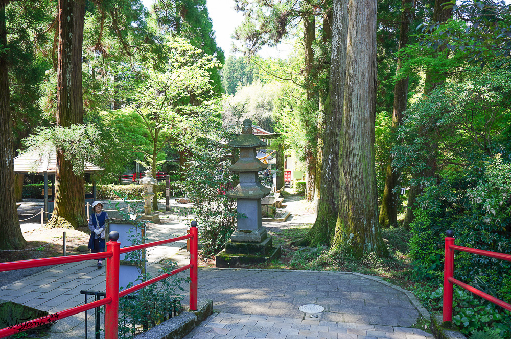 熊本南阿蘇｜白川水源｜白川吉見神社：日本名水百選，世界最清澈的天然水之一 @緹雅瑪 美食旅遊趣