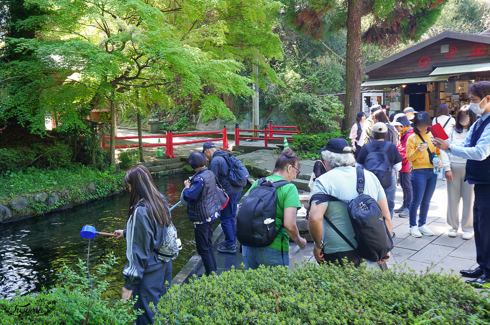 熊本南阿蘇｜白川水源｜白川吉見神社：日本名水百選，世界最清澈的天然水之一 @緹雅瑪 美食旅遊趣