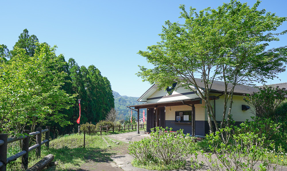 熊本南阿蘇｜白川水源｜白川吉見神社：日本名水百選，世界最清澈的天然水之一 @緹雅瑪 美食旅遊趣