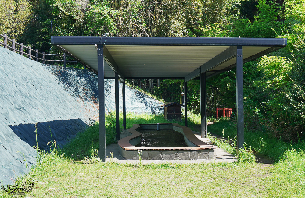 熊本南阿蘇｜白川水源｜白川吉見神社：日本名水百選，世界最清澈的天然水之一 @緹雅瑪 美食旅遊趣