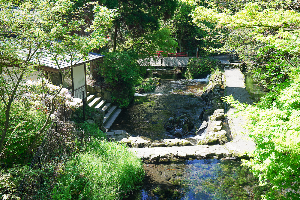 熊本南阿蘇｜白川水源｜白川吉見神社：日本名水百選，世界最清澈的天然水之一 @緹雅瑪 美食旅遊趣