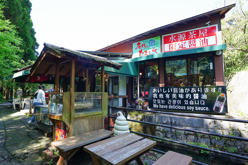 熊本南阿蘇｜白川水源｜白川吉見神社：日本名水百選，世界最清澈的天然水之一 @緹雅瑪 美食旅遊趣