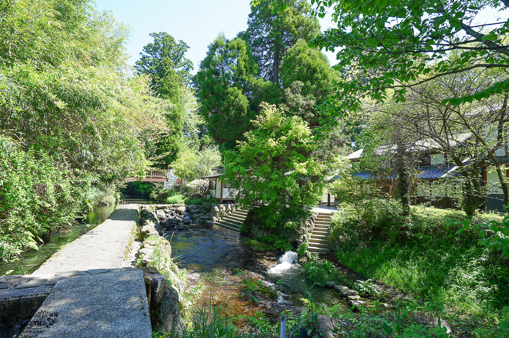 熊本南阿蘇｜白川水源｜白川吉見神社：日本名水百選，世界最清澈的天然水之一 @緹雅瑪 美食旅遊趣