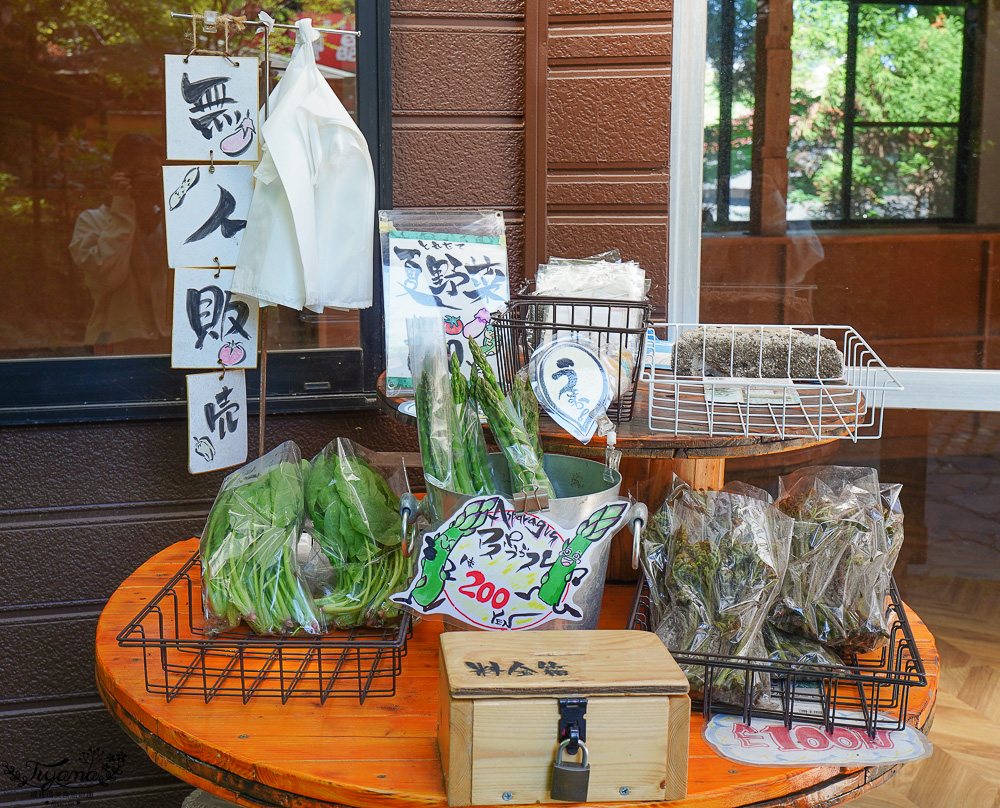 熊本南阿蘇｜白川水源｜白川吉見神社：日本名水百選，世界最清澈的天然水之一 @緹雅瑪 美食旅遊趣