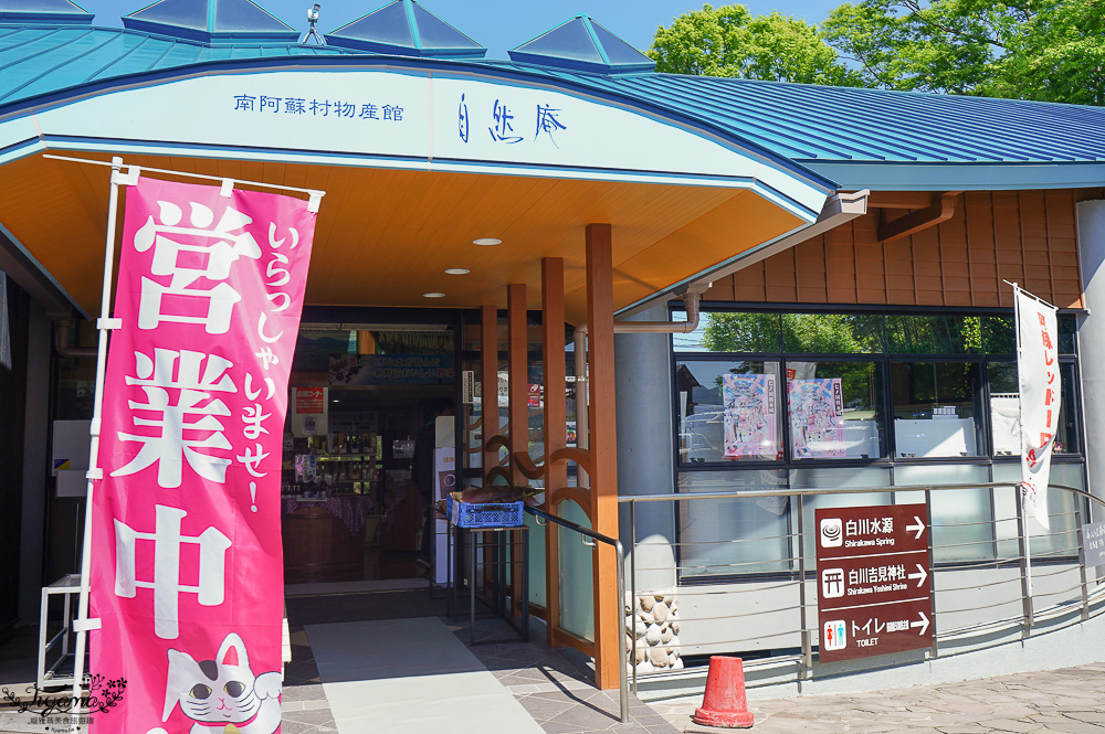 熊本南阿蘇｜白川水源｜白川吉見神社：日本名水百選，世界最清澈的天然水之一 @緹雅瑪 美食旅遊趣