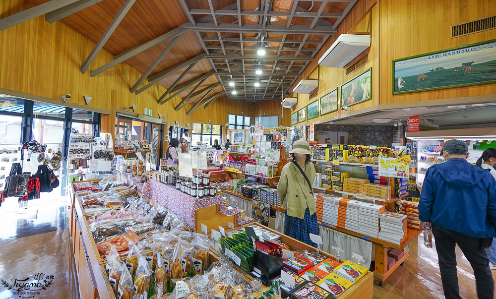 熊本南阿蘇｜白川水源｜白川吉見神社：日本名水百選，世界最清澈的天然水之一 @緹雅瑪 美食旅遊趣