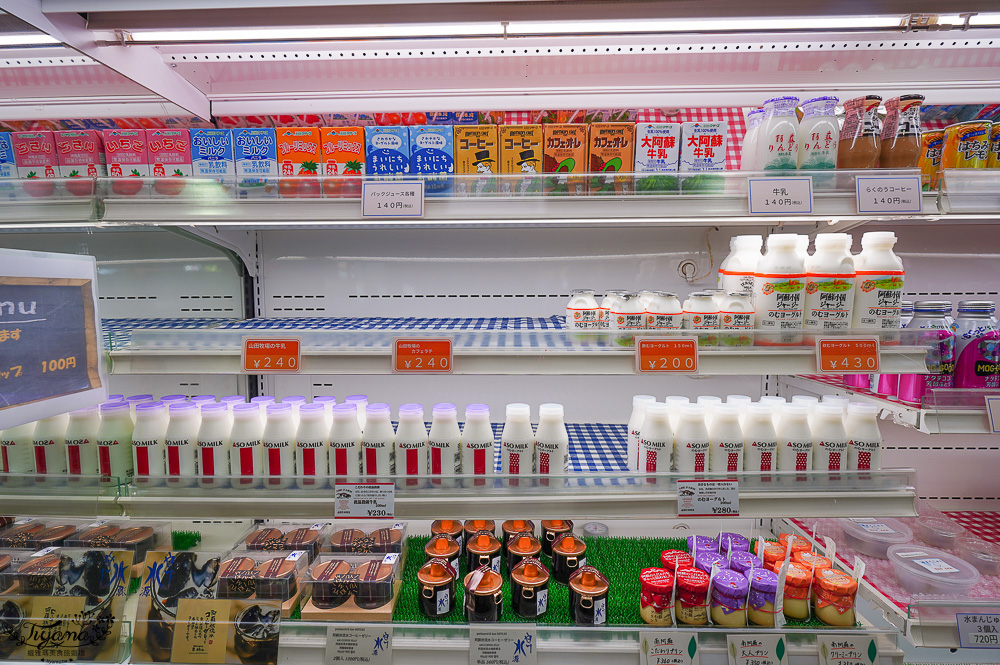 熊本南阿蘇｜白川水源｜白川吉見神社：日本名水百選，世界最清澈的天然水之一 @緹雅瑪 美食旅遊趣