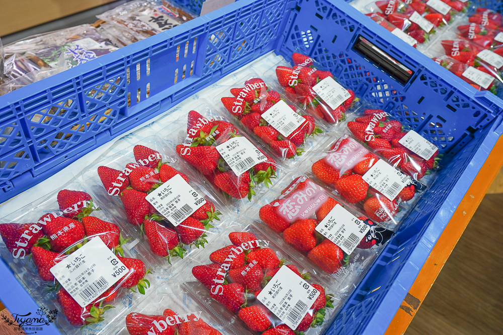 熊本南阿蘇｜白川水源｜白川吉見神社：日本名水百選，世界最清澈的天然水之一 @緹雅瑪 美食旅遊趣