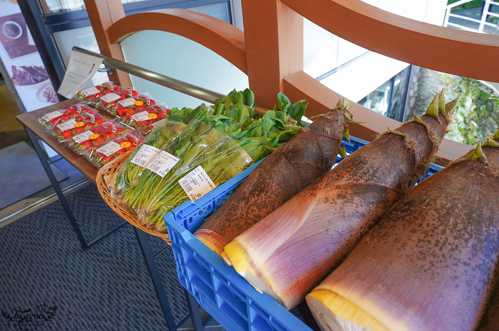 熊本南阿蘇｜白川水源｜白川吉見神社：日本名水百選，世界最清澈的天然水之一 @緹雅瑪 美食旅遊趣