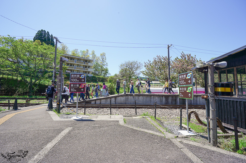 九州南阿蘇「高千穗小火車」露天森林小火車遊天照鐵道體驗燈效隧道、夢幻泡泡欣賞宮崎山脈，九州南阿蘇高千穗小火車一日遊 @緹雅瑪 美食旅遊趣