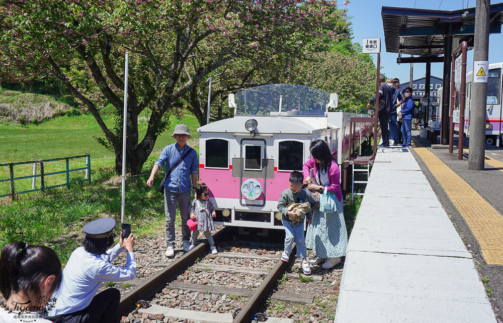 九州南阿蘇「高千穗小火車」露天森林小火車遊天照鐵道體驗燈效隧道、夢幻泡泡欣賞宮崎山脈，九州南阿蘇高千穗小火車一日遊 @緹雅瑪 美食旅遊趣