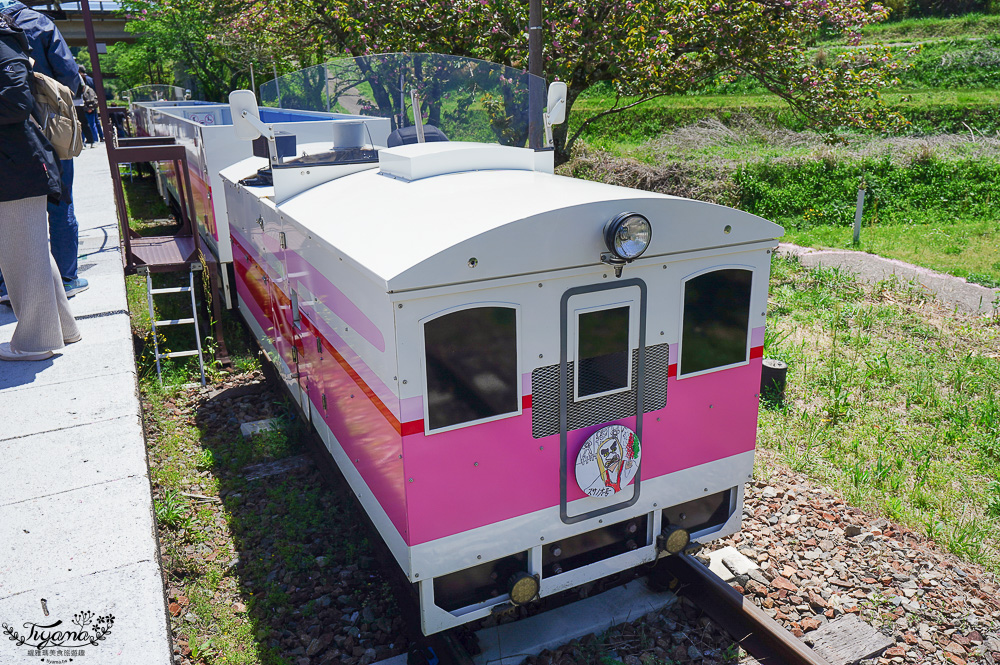 九州南阿蘇「高千穗小火車」露天森林小火車遊天照鐵道體驗燈效隧道、夢幻泡泡欣賞宮崎山脈，九州南阿蘇高千穗小火車一日遊 @緹雅瑪 美食旅遊趣