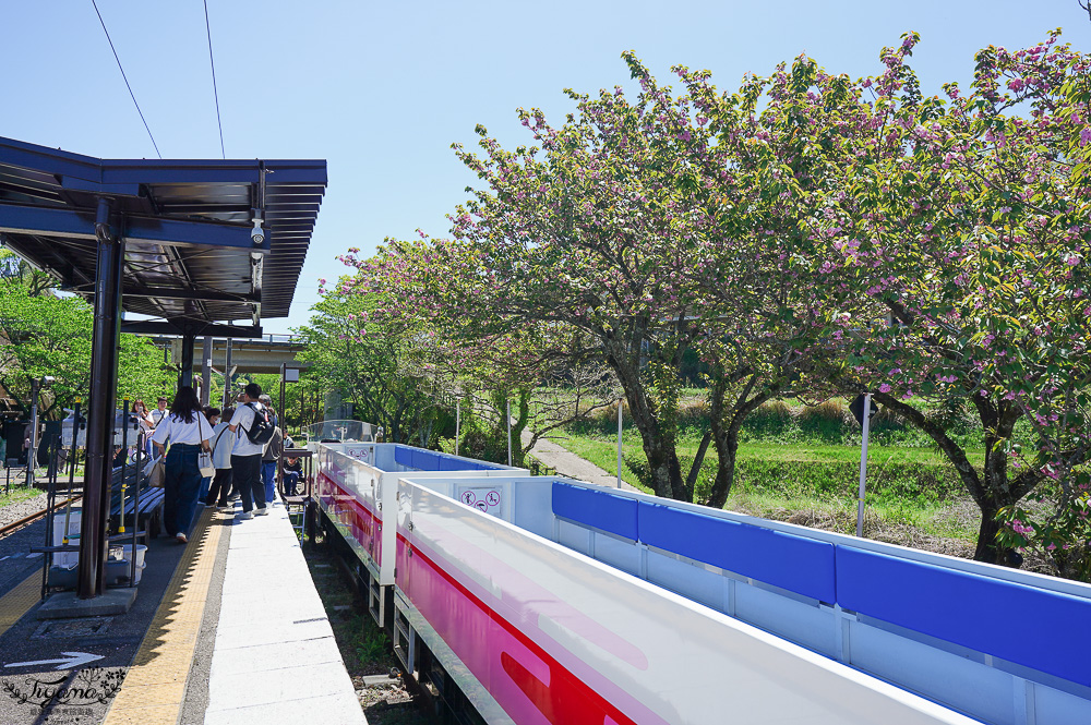 九州南阿蘇「高千穗小火車」露天森林小火車遊天照鐵道體驗燈效隧道、夢幻泡泡欣賞宮崎山脈，九州南阿蘇高千穗小火車一日遊 @緹雅瑪 美食旅遊趣
