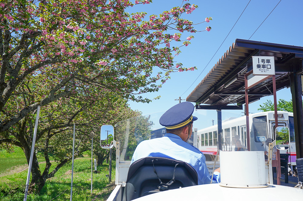 九州南阿蘇「高千穗小火車」露天森林小火車遊天照鐵道體驗燈效隧道、夢幻泡泡欣賞宮崎山脈，九州南阿蘇高千穗小火車一日遊 @緹雅瑪 美食旅遊趣