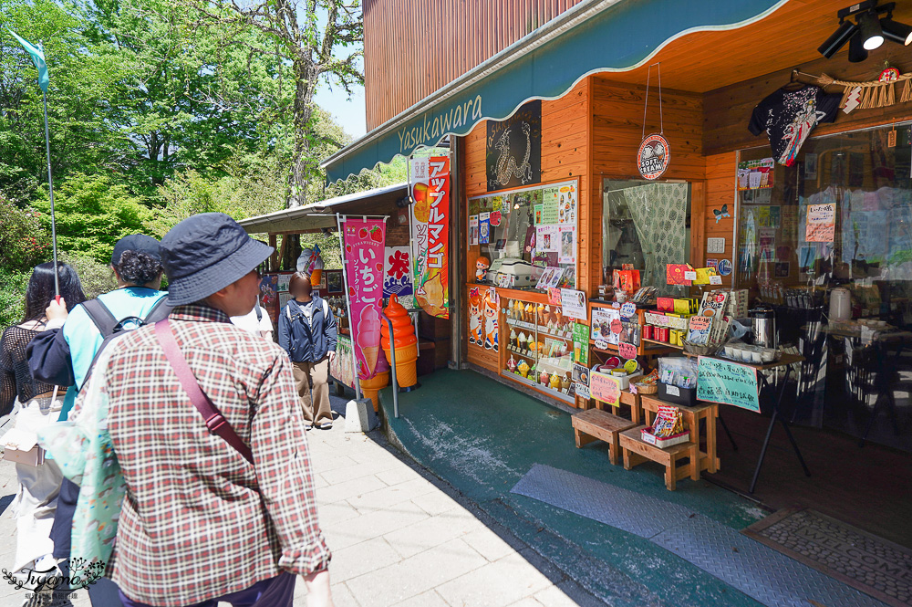 宮崎高千穗町景點｜天岩戸神社．天安河原：傳說神話秘境「洞穴中的神社」 @緹雅瑪 美食旅遊趣