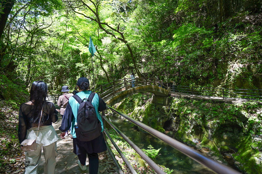 宮崎高千穗町景點｜天岩戸神社．天安河原：傳說神話秘境「洞穴中的神社」 @緹雅瑪 美食旅遊趣