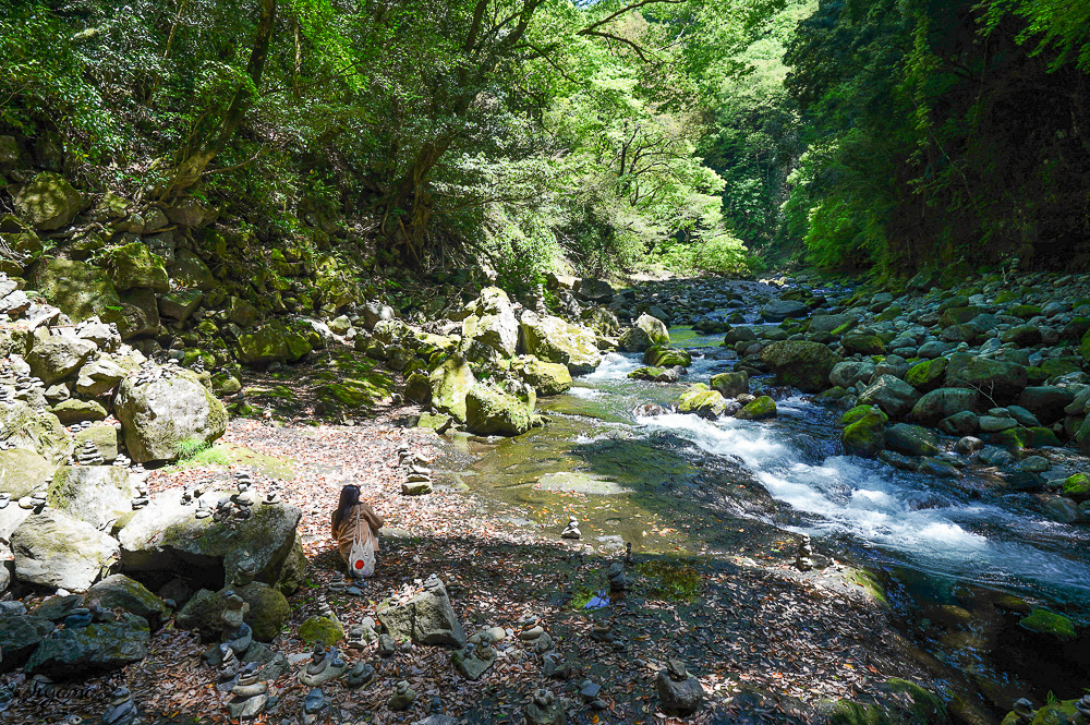 宮崎高千穗町景點｜天岩戸神社．天安河原：傳說神話秘境「洞穴中的神社」 @緹雅瑪 美食旅遊趣
