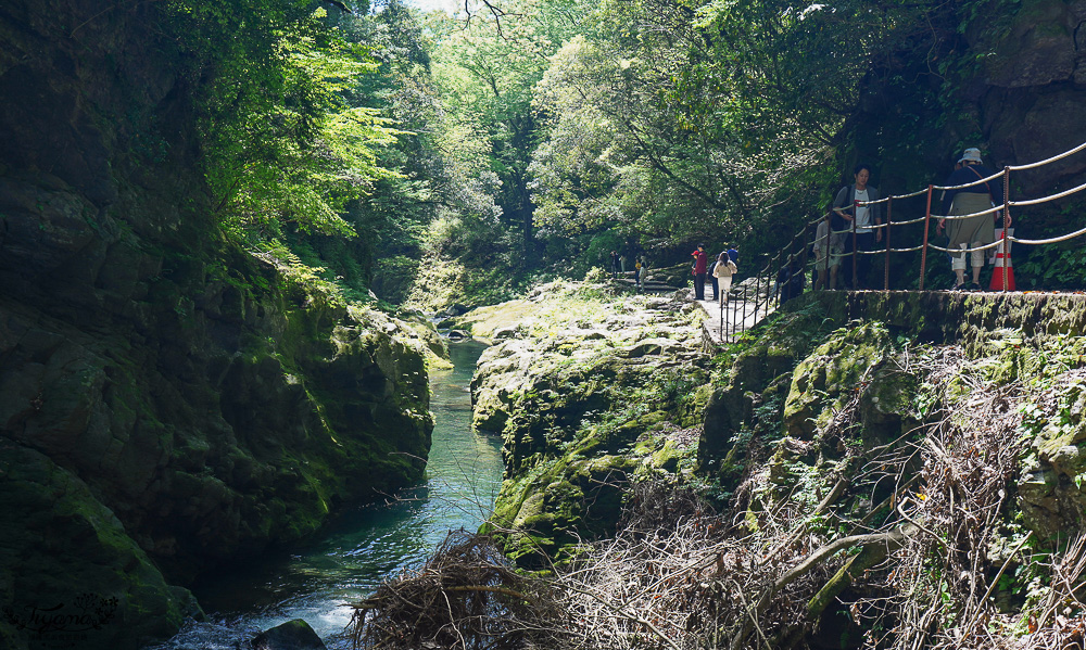 宮崎高千穗町景點｜天岩戸神社．天安河原：傳說神話秘境「洞穴中的神社」 @緹雅瑪 美食旅遊趣