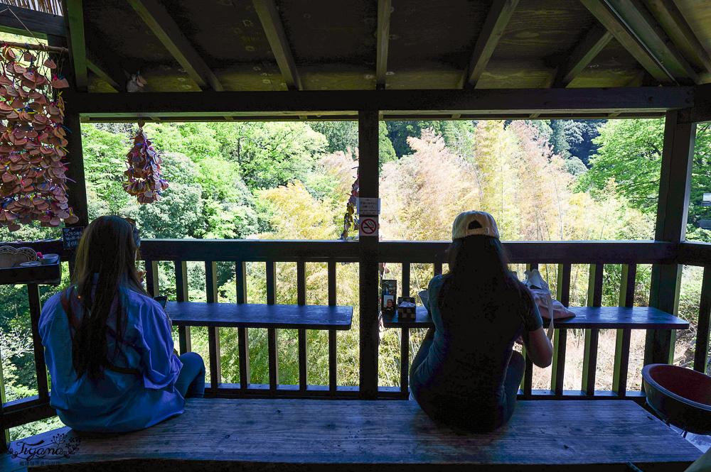 宮崎高千穗町景點｜天岩戸神社．天安河原：傳說神話秘境「洞穴中的神社」 @緹雅瑪 美食旅遊趣