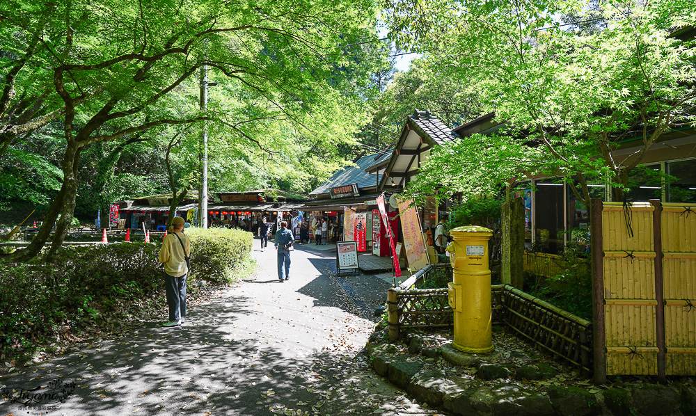 宮崎絕美仙境「高千穗峽」預約划船遊秘境，高千穗 流水麵線｜九州南阿蘇一日遊 @緹雅瑪 美食旅遊趣