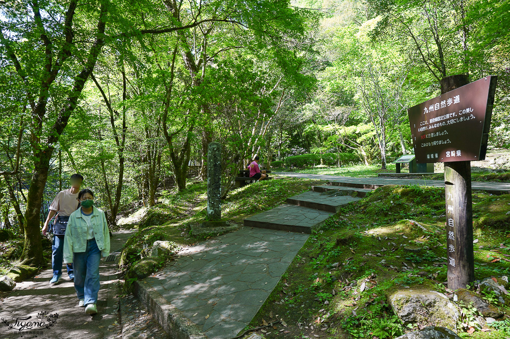 宮崎絕美仙境「高千穗峽」預約划船遊秘境，高千穗 流水麵線｜九州南阿蘇一日遊 @緹雅瑪 美食旅遊趣