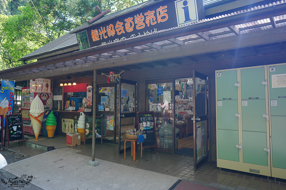 宮崎絕美仙境「高千穗峽」預約划船遊秘境，高千穗 流水麵線｜九州南阿蘇一日遊 @緹雅瑪 美食旅遊趣