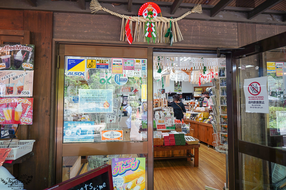 宮崎絕美仙境「高千穗峽」預約划船遊秘境，高千穗 流水麵線｜九州南阿蘇一日遊 @緹雅瑪 美食旅遊趣