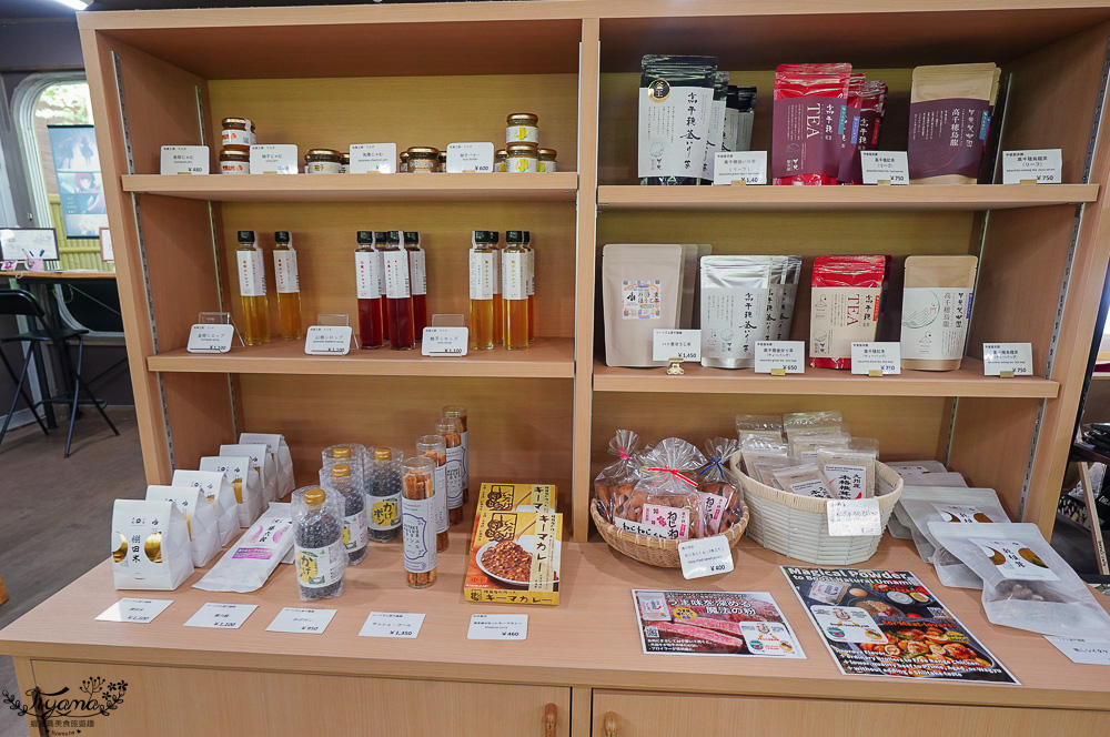 宮崎絕美仙境「高千穗峽」預約划船遊秘境，高千穗 流水麵線｜九州南阿蘇一日遊 @緹雅瑪 美食旅遊趣